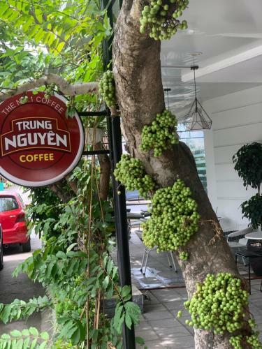 Hotel S??ng Giang 2