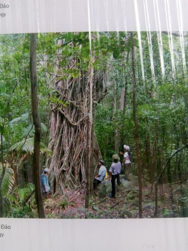 B?o Ho�ng Homestay
