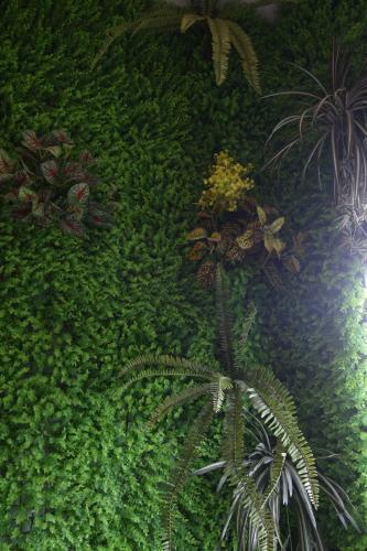 H� Ti�n Homestay
