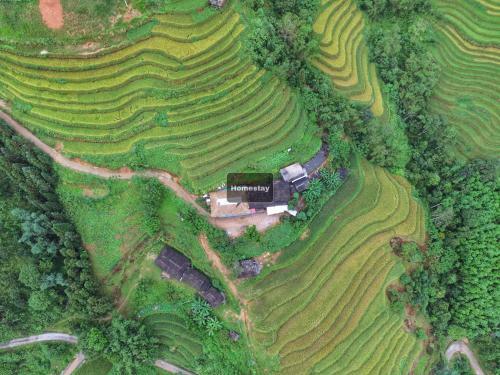 Long Chi?u Homestay