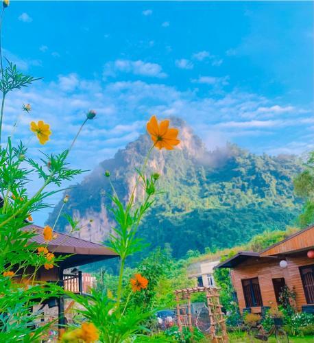 Hotel Golden Jungle House