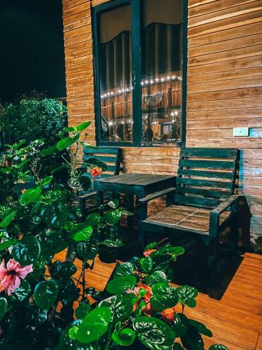 Hotel Golden Jungle House