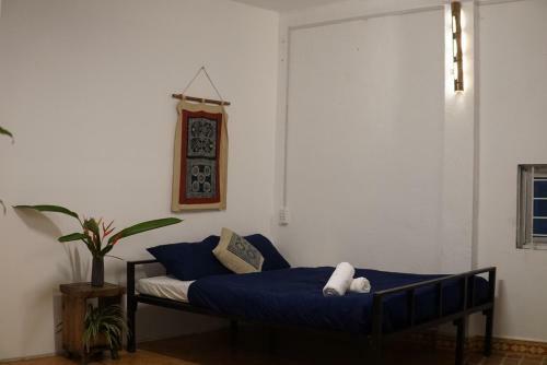 Albergue C? Home