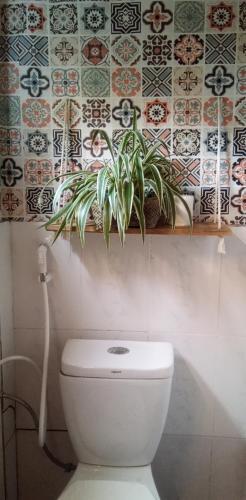 Albergue C? Home