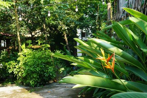 Albergue C? Home