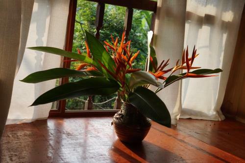 Albergue C? Home
