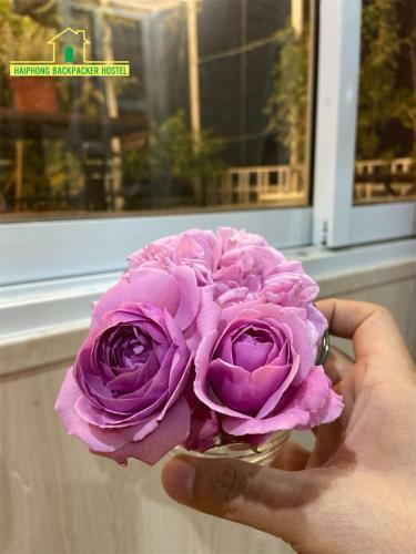 Apartamento Haiphong Backpacker Hostel