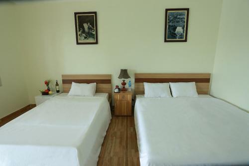Lodge Windy Hill Catba Homestay