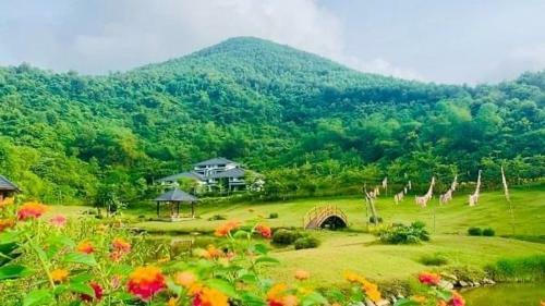 Villa Hasu Mini Bungalow