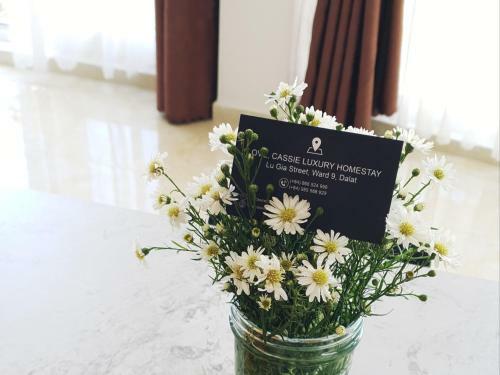 Love, Cassie Luxury Homestay
