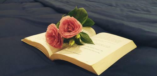 Love, Cassie Luxury Homestay