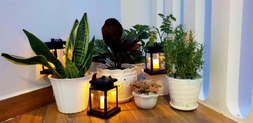 Love, Cassie Luxury Homestay
