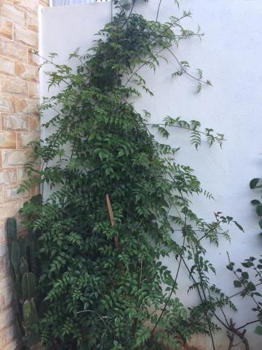 ?� L?t Villa 84 H? Xu�n H??ng