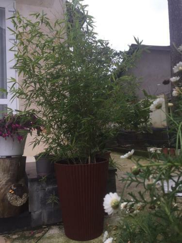 ?� L?t Villa 84 H? Xu�n H??ng