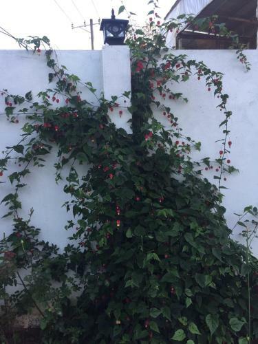 ?� L?t Villa 84 H? Xu�n H??ng