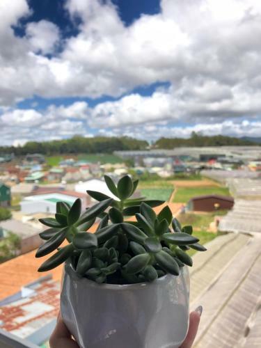 I'm Home In Dalat