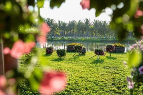 Bom Homes- Ecopark- Service Apartment