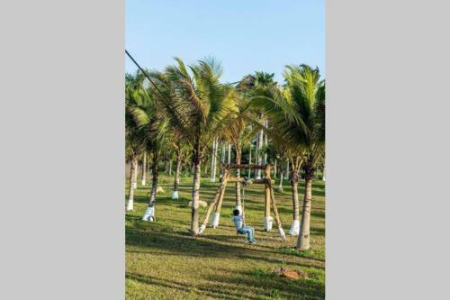 Bom Homes- Ecopark- Service Apartment
