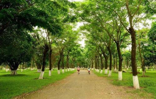 Bom Homes- Ecopark- Service Apartment