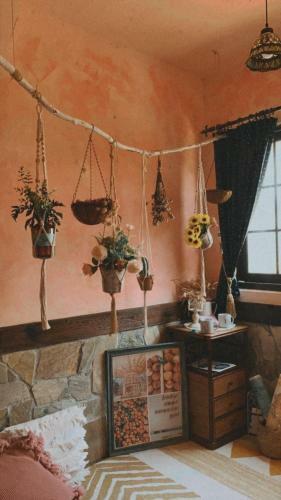 Bed & Breakfast ????????