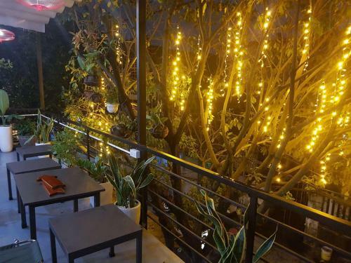 Codo Plus Garden