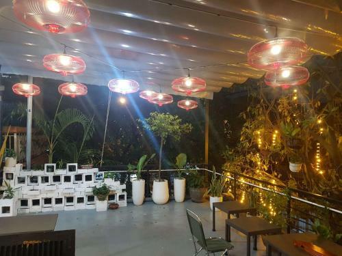 Codo Plus Garden