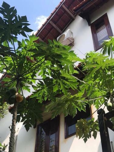 Pinehill Tu Hieu Hue Homestay