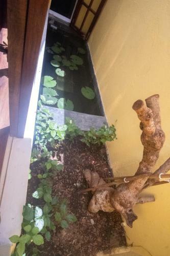 Leranda Homestay