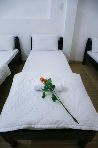Hotel Sea Homestay