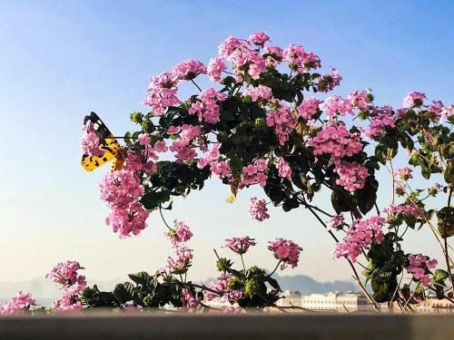 Elysinam Boutique Hotel Ha Long