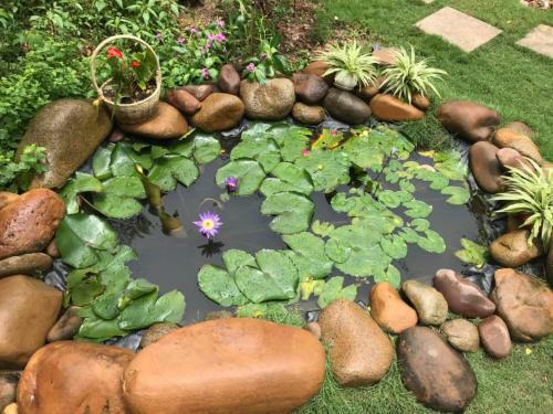 Green Garden Bungalow