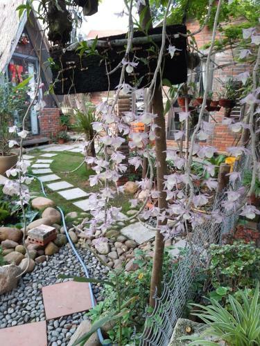 Green Garden Bungalow