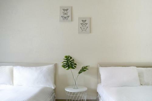 Albergue Rabbit House