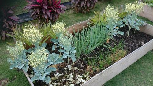 Livinggreen B&B