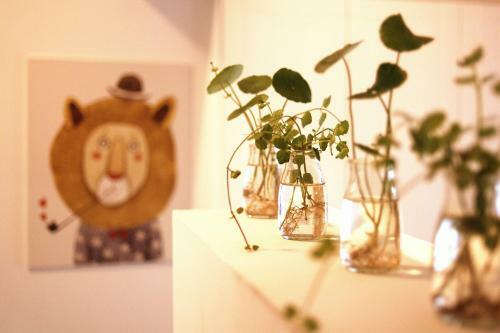 Albergue Camouflage Guest House