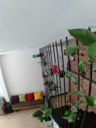 Hotel Homestay X� Trum