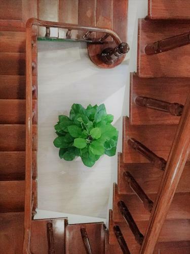 Albergue Delistay
