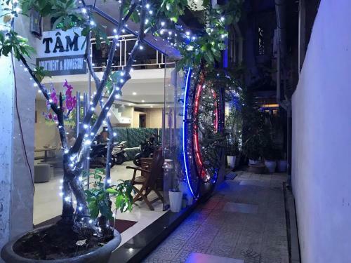Hostal Tam Homestay