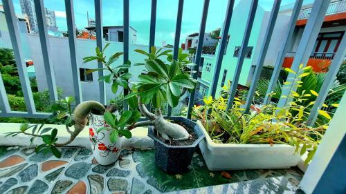 Hostal Sena Home 3*1*overlooking Danang Dragon Bridge