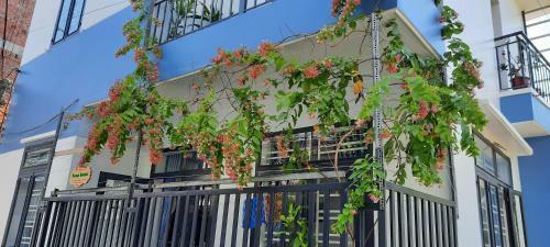 Hostal Sena Home 3*1*overlooking Danang Dragon Bridge