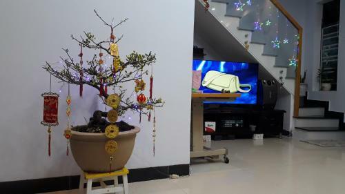 Hostal Sena Home 3*1*overlooking Danang Dragon Bridge