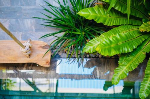 Apartamento M�y Villa ?� N?ng