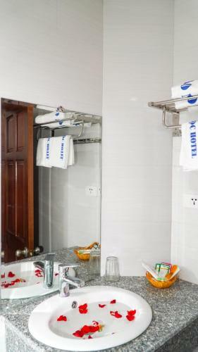 Bao Ngoc Hotel & Apt