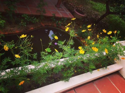 Countryside Garden Homestay