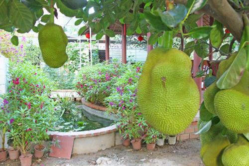 Countryside Garden Homestay