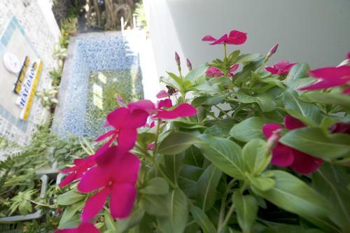 Hai Dao Tourist Villa