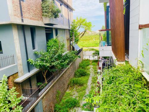 Cloudy Homestay Hoi An