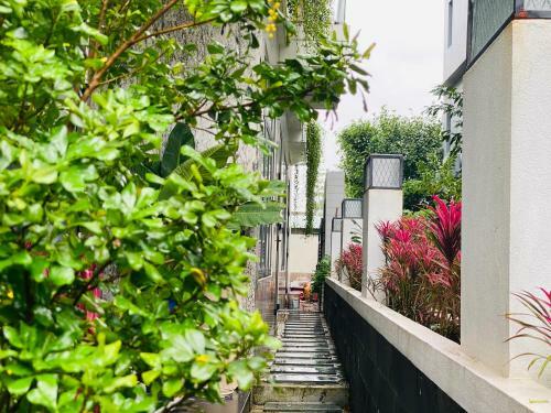 Cloudy Homestay Hoi An