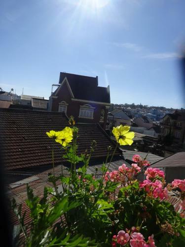 Blue Sky Homestay