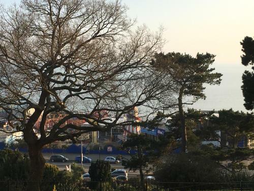 Hostal Pier View